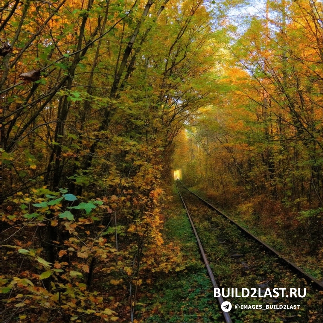 Осенний облик Тоннеля любви в Украине.